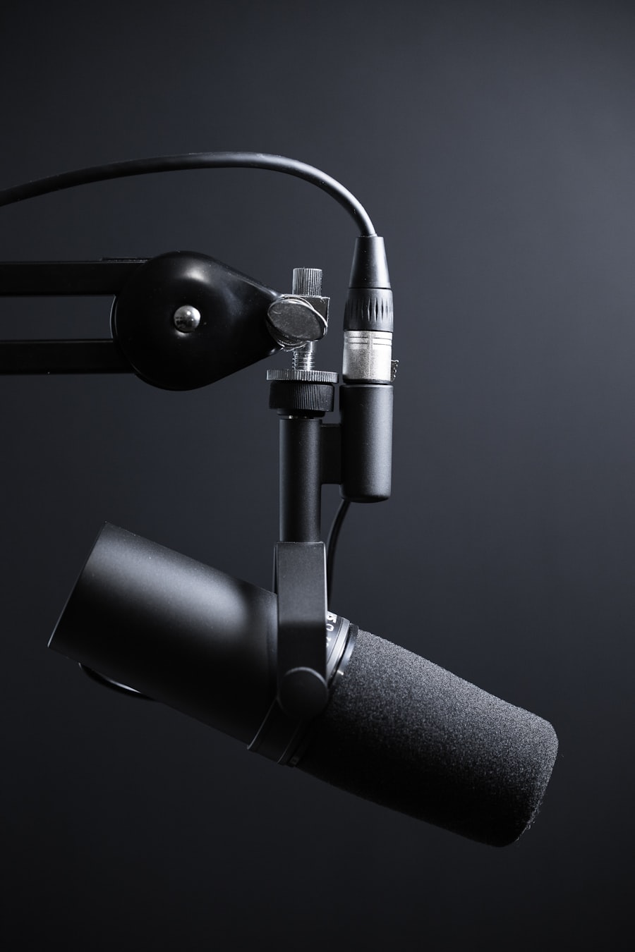 Professional microphone